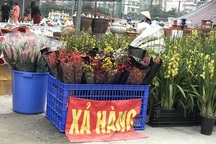 Covid-19 "tái xuất": Dân buôn đồng loạt thanh lý, xả hàng, nghỉ Tết sớm