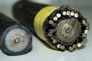 Cáp quang biển đứt bởi bão gây ra, chưa xác định được thời gian khắc phục