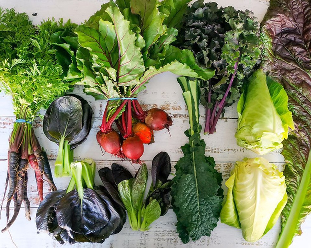 Stress vì công việc, chàng trai lột xác sân thành vườn rau sạch - 6