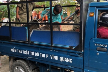 Chủ tịch phường chỉ đạo miệng tịch thu đồ của dân tại Kiên Giang!