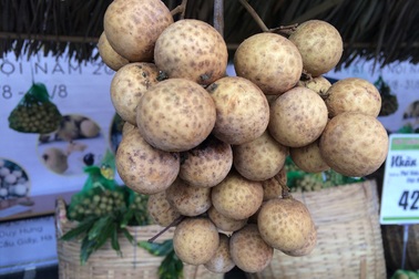 Nhãn lồng Hưng Yên 70.000 đồng/kg, giả mạo thương hiệu 30.000 đồng/kg