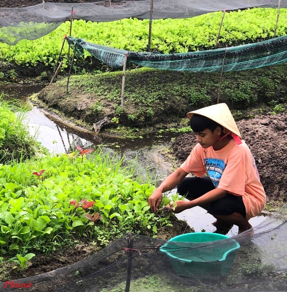 Nam sinh chăn bò, nhặt rau giúp mẹ đạt 9,75 điểm môn Văn - 4 Nam sinh chăn bò, nhặt rau giúp mẹ đạt 9,75 điểm môn Văn - 4