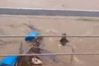 Người ôm chặt bè cá trôi trong lũ: “Cứu tài sản duy nhất của gia đình”