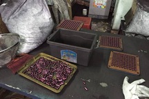 "Tác giả" chế thuốc trị ung thư từ bột than tre bị bắt trên đường cao tốc