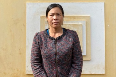 Cò đất "phù phép" sổ đỏ bị bắt tạm giam