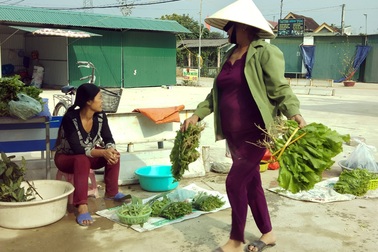 Rau xanh đắt khách, “nhích” giá đầu Xuân mới