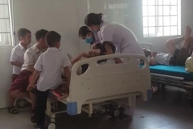 Quảng Trị:  26 học sinh tiểu học bị ong đốt phải nhập viện