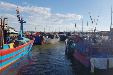 Quảng Nam: Thiếu lao động đi biển, tàu tiền tỷ nằm bờ phơi nắng