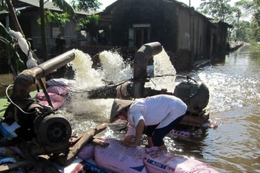 Nhà nhà đi canh đê, đắp đập chống lũ lớn