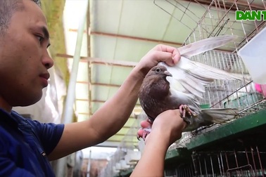 Bỏ nghề lập trình viên về làm "nông dân nuôi chim" thu 3 tỷ đồng/năm