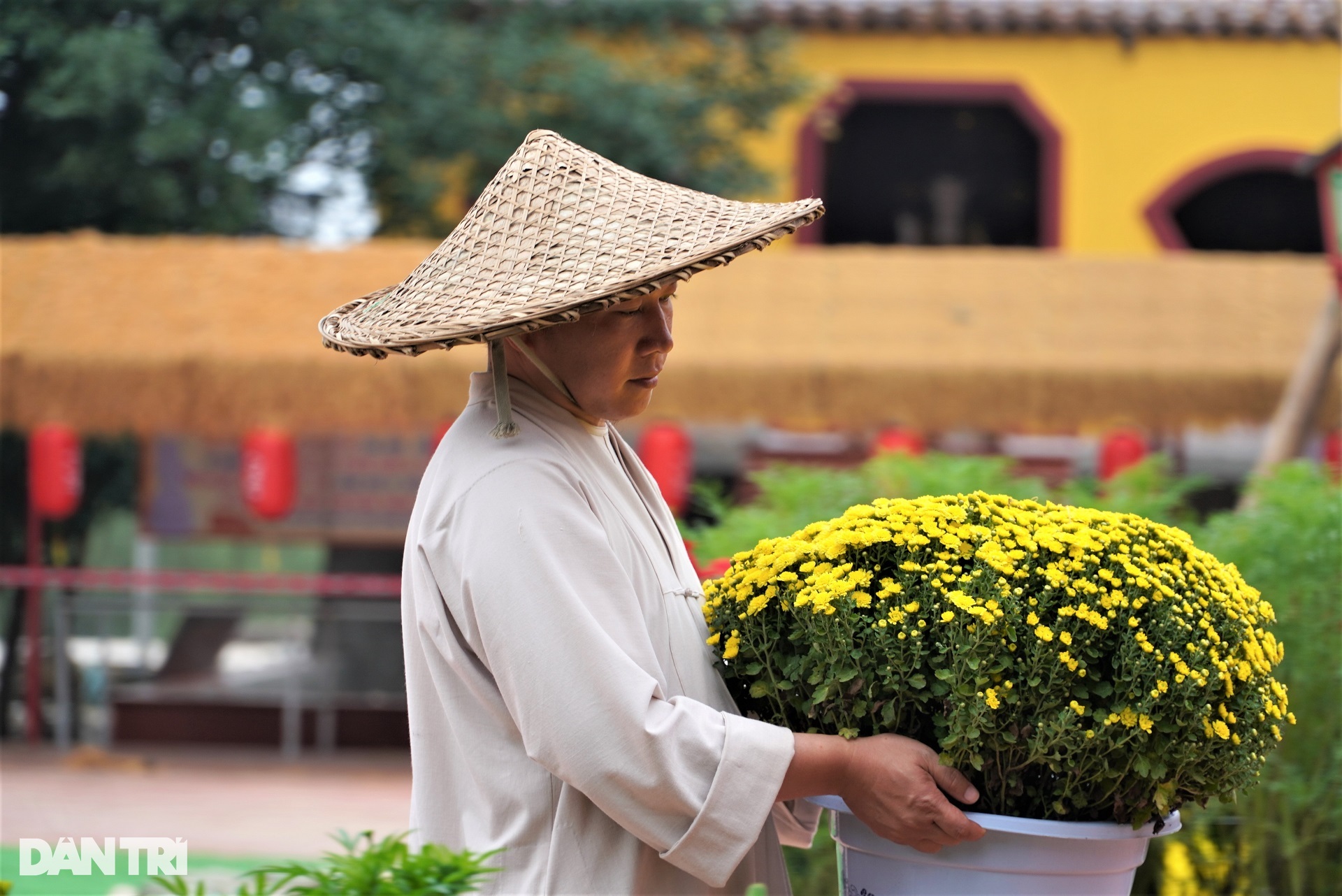 Linh vật rồng chầu tại ngôi chùa bên dòng sông Hộ Độ nhận mưa lời khen - 7