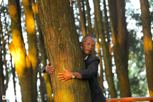 Gia đình 3 thế hệ ở huyện miền núi trồng hàng vạn cây gỗ quý Sa mu, Pơ mu