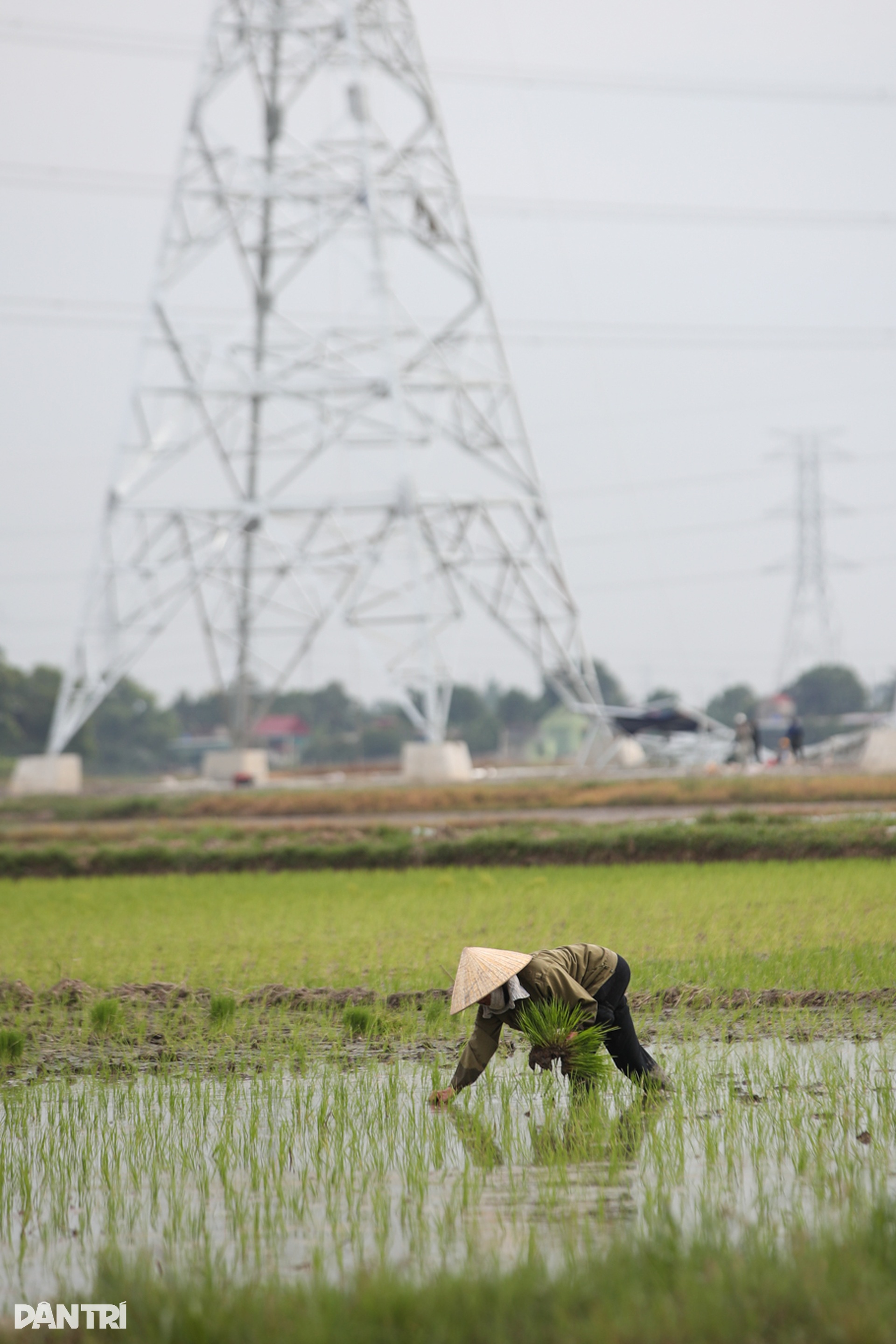 Hành trình của công nhân điện lực miền Nam tại dự án 500kV mạch 3 - 11 Hành trình của công nhân điện lực miền Nam tại dự án 500kV mạch 3 - 11