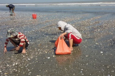 Dân vạn chài nhọc nhằn mưu sinh ngày đầu năm