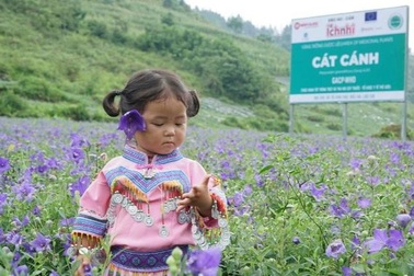 Ích Nhi - hành trình 14 năm chăm sóc và bảo vệ sức khỏe trẻ em