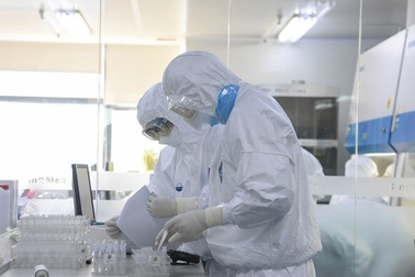 Phần mềm cho phép mọi người góp sức đẩy nhanh tốc độ nghiên cứu về Covid-19