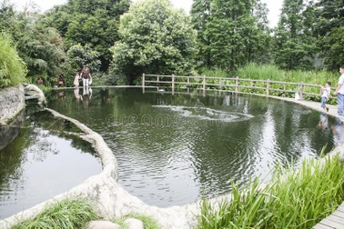 Công viên phấn đấu thành nơi "không muỗi đốt", bắt 12.000 con trong 3 tuần