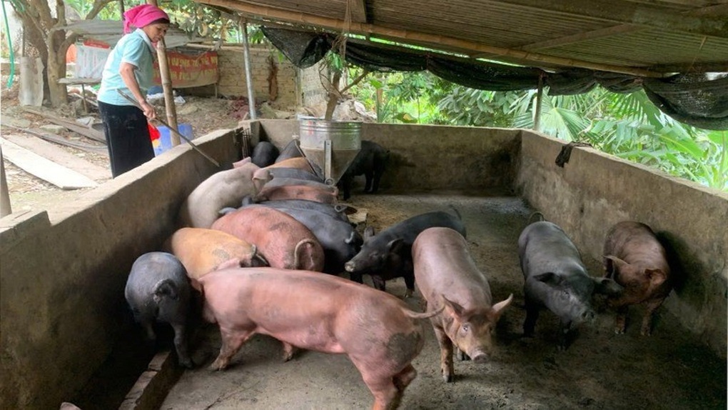 Nậm Nhùn (Lai Châu): Nâng cao nhận thức, khơi dậy ý chí người dân thoát nghèo - 1 Nậm Nhùn (Lai Châu): Nâng cao nhận thức, khơi dậy ý chí người dân thoát nghèo - 1