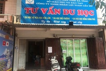 Bị cấm hoạt động xuất khẩu lao động, doanh nghiệp vẫn ...thản nhiên tái phạm