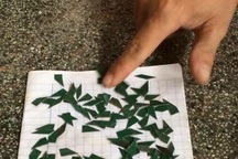 Chủ tiệm sửa xe rải đinh “bẫy” người đi đường