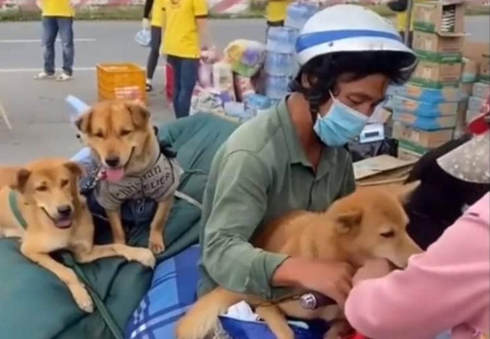 Vụ tiêu hủy 16 con chó mèo: Tôi buồn vì nhiều người mắng Cà Mau ghê quá! - 1 Vụ tiêu hủy 16 con chó mèo: Tôi buồn vì nhiều người mắng Cà Mau ghê quá! - 1