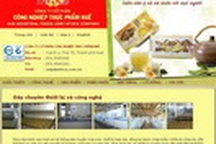 5 năm cổ phần hoá, Infoco đều thua lỗ