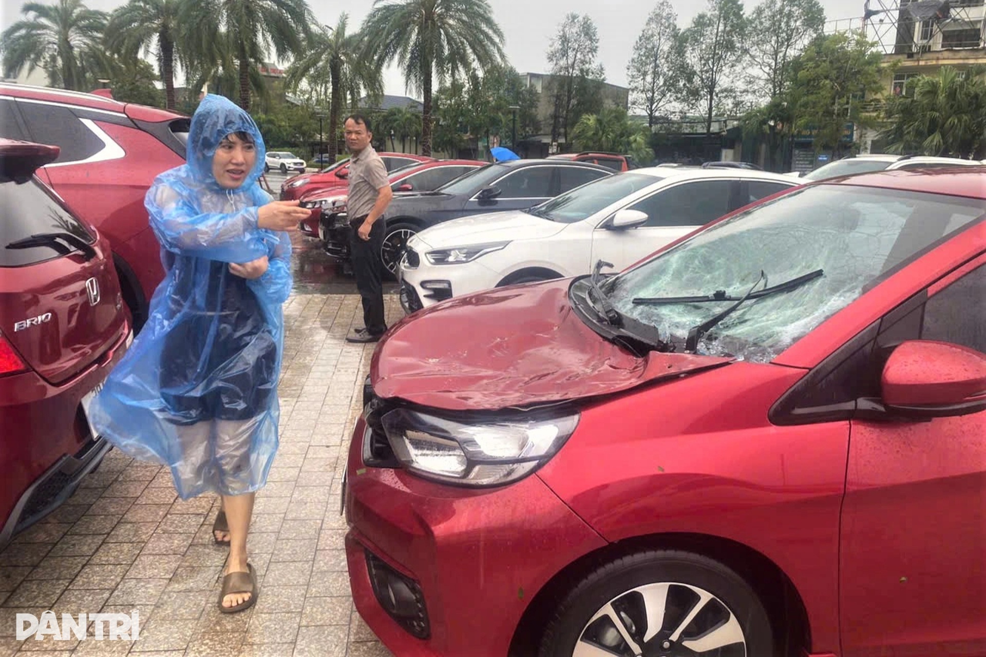 Đỗ trên cao tránh ngập, hàng loạt ô tô lại bị vỡ kính, móp xe - 3 Đỗ trên cao tránh ngập, hàng loạt ô tô lại bị vỡ kính, móp xe - 3