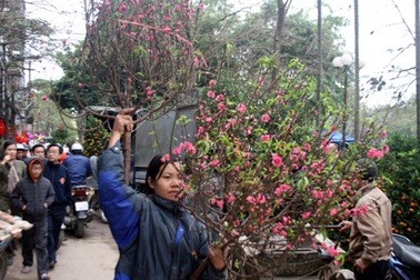 Chợ hoa Hà Nội vẫn tấp nập ngày cuối năm