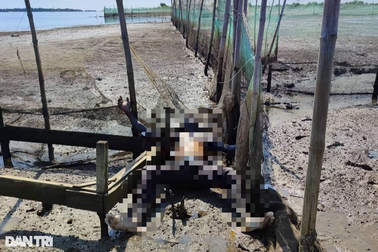 Phát hiện thi thể nam giới bên bờ sông Gianh