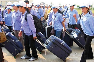 Tạm dừng dịch vụ đưa lao động làm việc tại Ả rập Xê út của 3 công ty XKLĐ