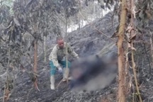 Một phụ nữ tử vong khi chữa cháy rừng ở Bắc Kạn
