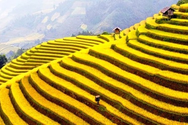 Thung lũng Bắc Sơn, làng chài Vịnh Hạ Long: Điểm đến không nên bỏ lỡ