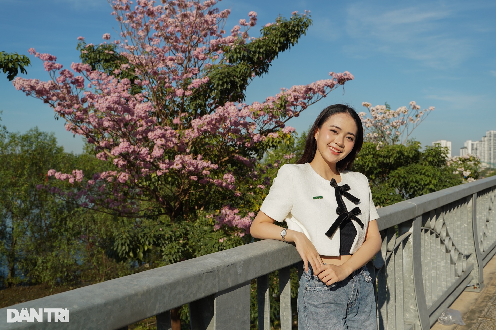 Loài hoa biểu tượng của TPHCM đến mùa gây sốt - 6 Loài hoa biểu tượng của TPHCM đến mùa gây sốt - 6