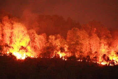 Đốt vàng mã, đốt cháy 20 ha rừng trên núi Bà Hỏa