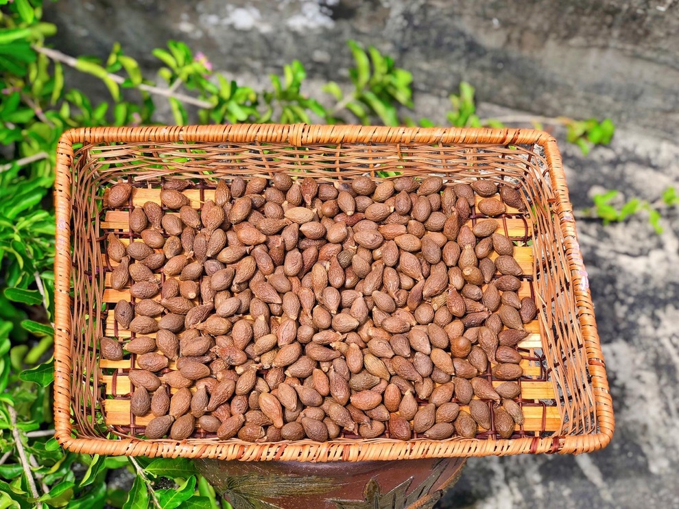 Thực đơn loạt món ngon giải nhiệt, hấp dẫn từ hạt ươi - 1 Thực đơn loạt món ngon giải nhiệt, hấp dẫn từ hạt ươi - 1