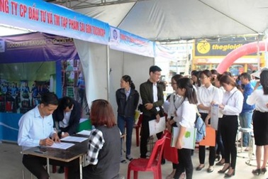 Quảng Nam: Sau 10 năm, số đơn vị đóng bảo hiểm thất nghiệp tăng 360 %