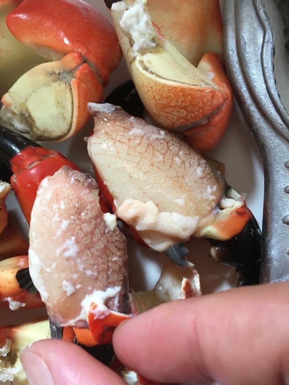 Ăn như cua hoàng đế, cả cân chưa được 1 lạng thịt chị em vẫn tranh mua - 6 Ăn như cua hoàng đế, cả cân chưa được 1 lạng thịt chị em vẫn tranh mua - 6
