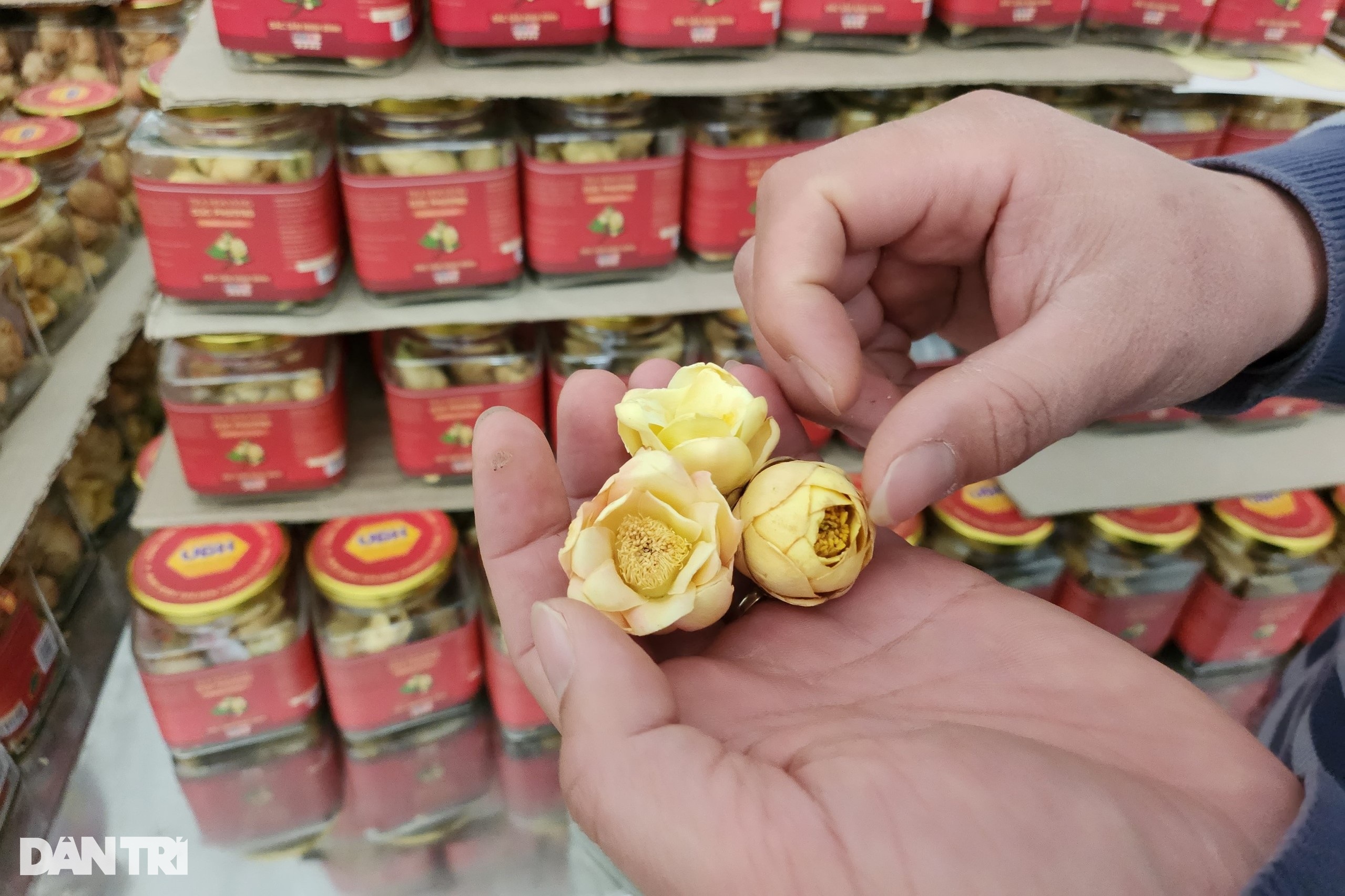 Kỹ sư bỏ phố về rừng trồng loại cây hái hoa bán giá chục triệu đồng/kg - 8 Kỹ sư bỏ phố về rừng trồng loại cây hái hoa bán giá chục triệu đồng/kg - 8