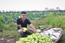 Khởi nghiệp từ trồng sen