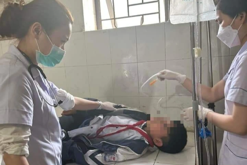 11 học sinh nhập viện sau khi ăn quả ngô đồng - 2 11 học sinh nhập viện sau khi ăn quả ngô đồng - 2