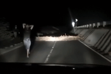 Clip "tài xế phản ứng nhanh, thoát khỏi vụ cướp trong đêm" nổi bật tuần qua