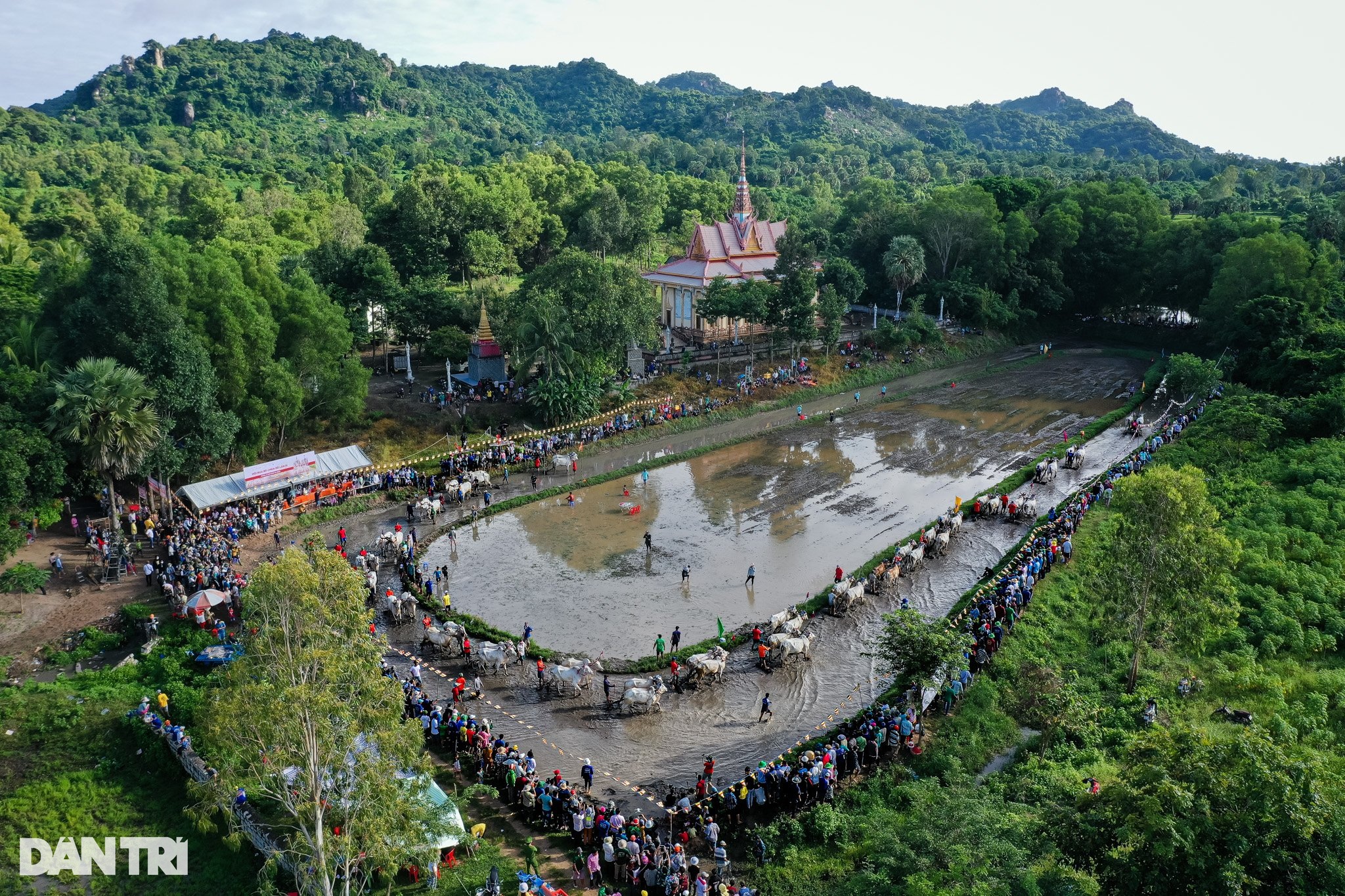 Những hình ảnh ấn tượng tại Hội đua bò chùa Rô 2023 - 3 Những hình ảnh ấn tượng tại Hội đua bò chùa Rô 2023 - 3