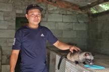 Nuôi chồn hương bán giống, 8X ở Đà Nẵng bỏ túi nửa tỷ đồng mỗi năm