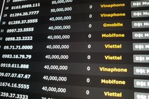 SIM 11 số tăng giá đột biến, từ vài chục triệu lên hàng trăm triệu