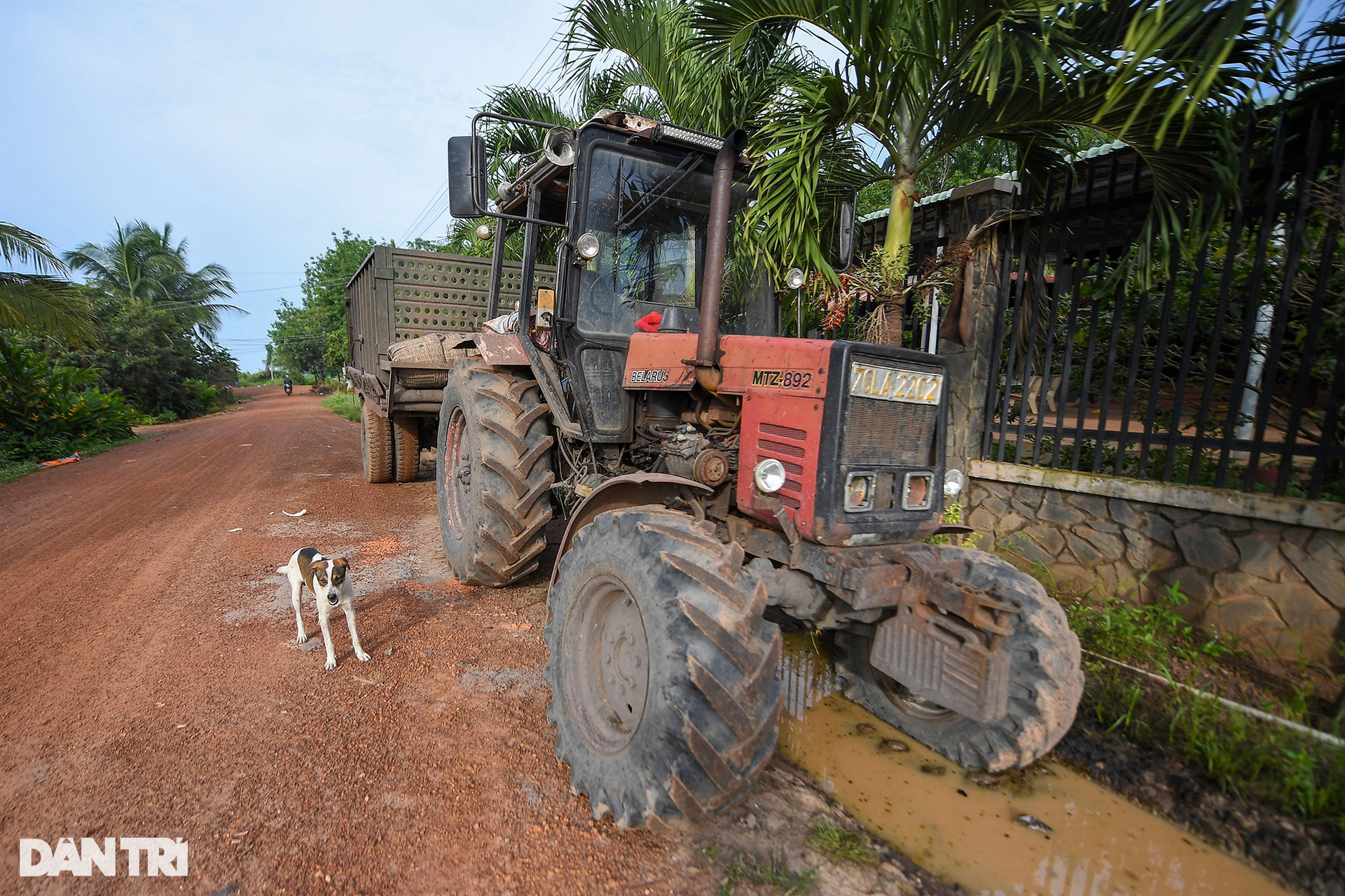 Khám phá quê nhà đẹp như tranh của Hoa hậu Hoàn vũ Ngọc Châu - 12 Khám phá quê nhà đẹp như tranh của Hoa hậu Hoàn vũ Ngọc Châu - 12