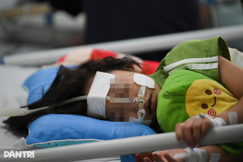 Sốt xuất huyết biến đổi khó lường, Việt Nam triển khai thử nghiệm vaccine - 2 Sốt xuất huyết biến đổi khó lường, Việt Nam triển khai thử nghiệm vaccine - 2