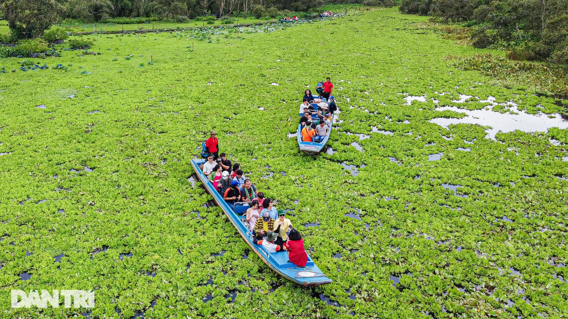 Ghé rừng tràm đẹp nhất miền Tây, nơi phim Đất rừng phương Nam bấm máy - 9 Ghé rừng tràm đẹp nhất miền Tây, nơi phim Đất rừng phương Nam bấm máy - 9