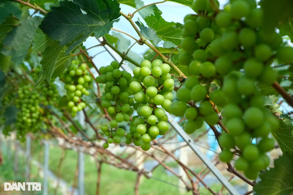 Cú liều ăn nhiều của anh khùng khiến ai cũng ngả mũ thán phục - 4