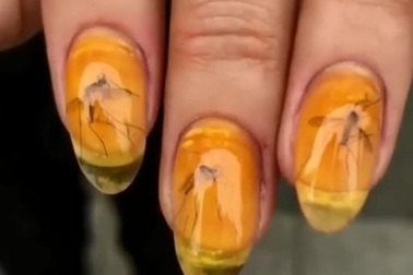Xu hướng làm đẹp mới: Sơn móng tay bằng xác chết côn trùng