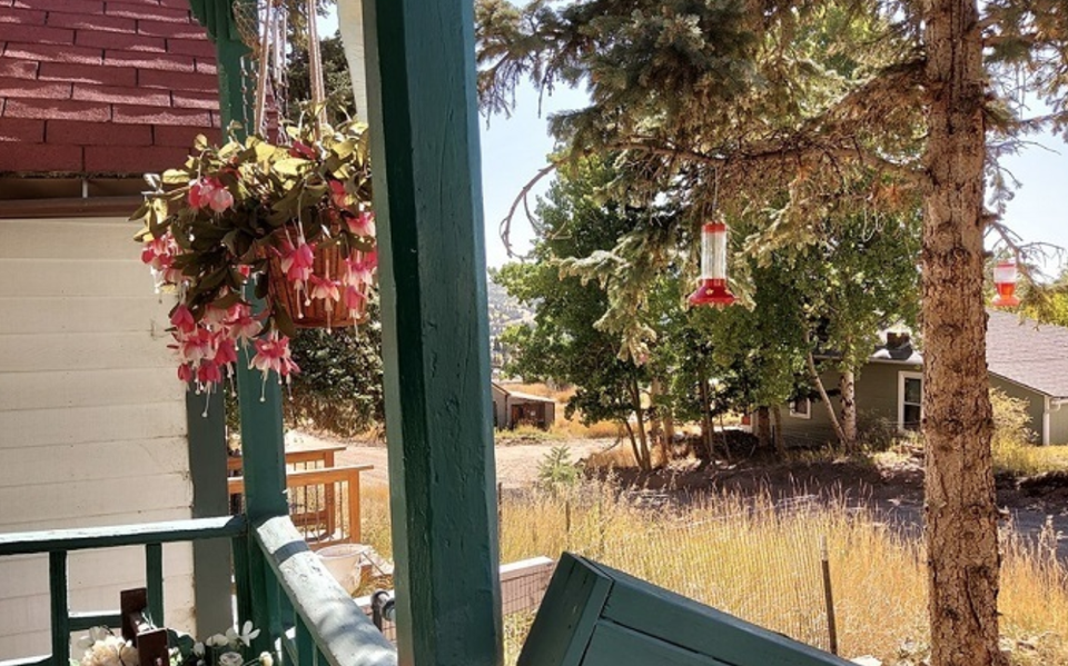 Mâu thuẫn chuyện tài sản, mẹ già bị con ghẻ lạnh suốt 10 năm - 1